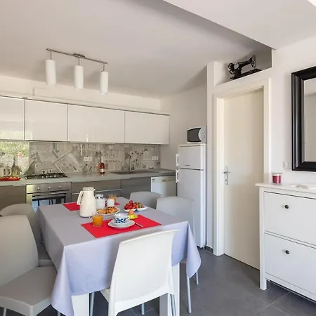 Seaside Kamelia * Mimice