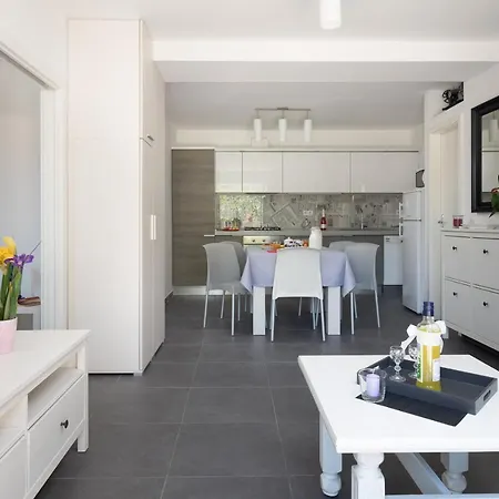 Seaside Kamelia * Mimice