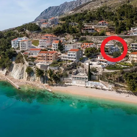 Seaside Kamelia Mimice