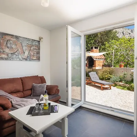 Seaside Kamelia Mimice