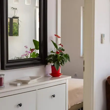 Seaside Kamelia * Mimice