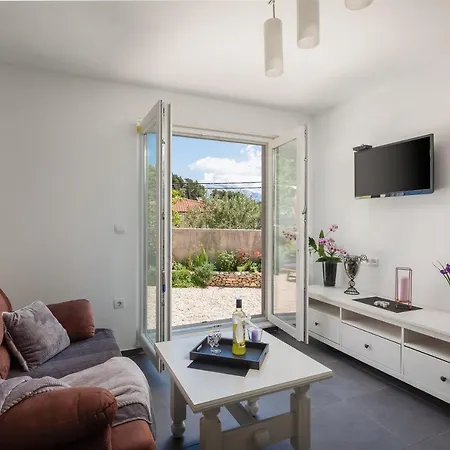 Seaside Kamelia * Mimice