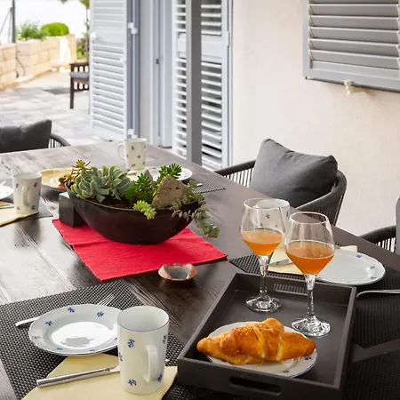 Seaside Kamelia Mimice