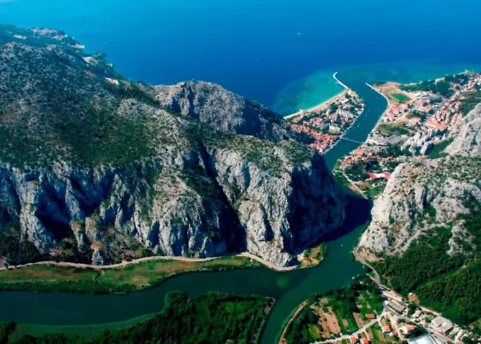 Seaside Kamelia *