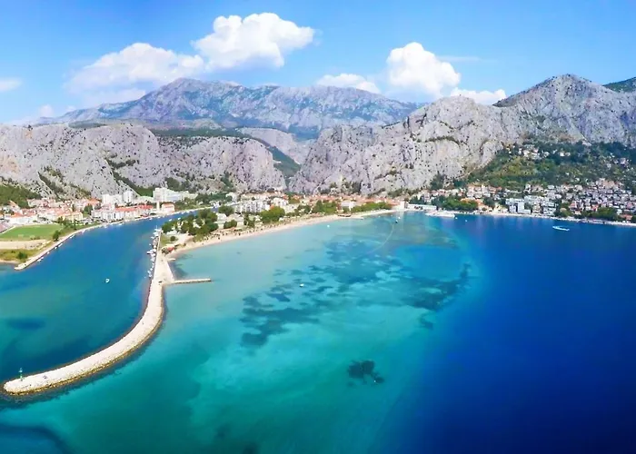 Seaside Kamelia